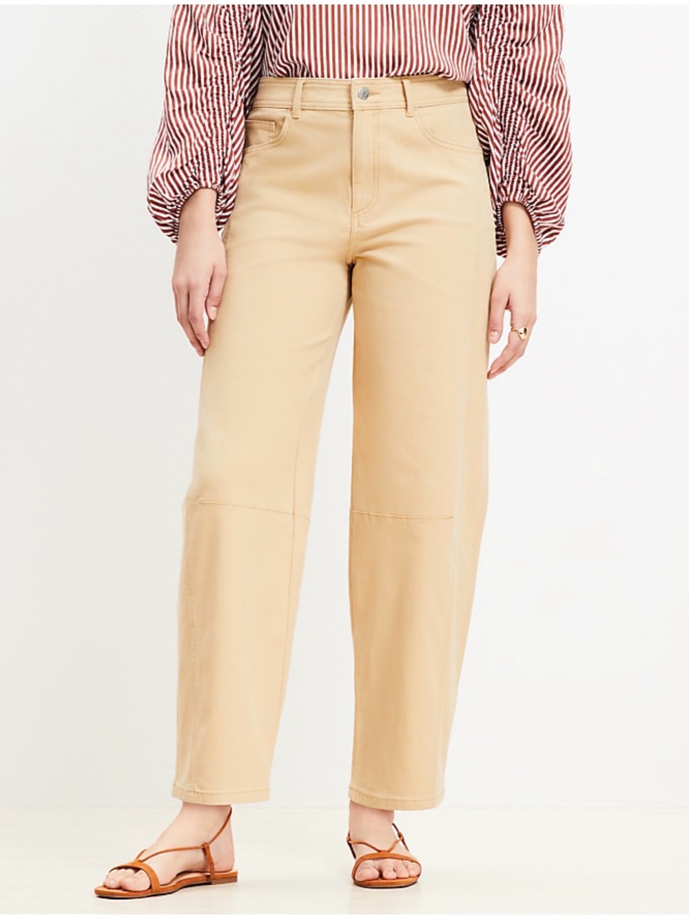 LOFT Canvas Barrel Pant 10/30
